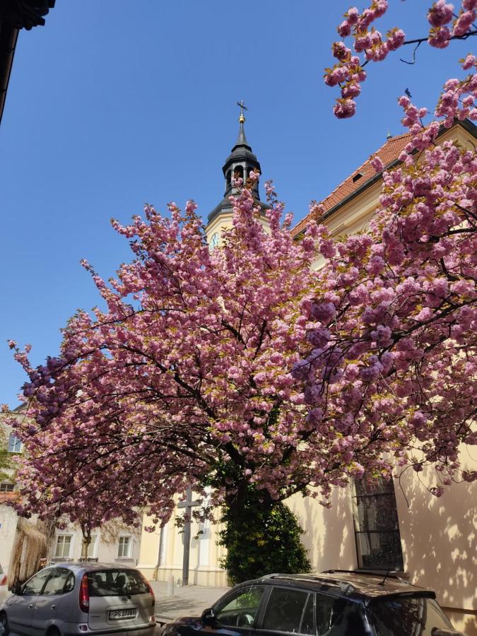 Apartament Przy Zamku Pszczyna Eksteriør bilde